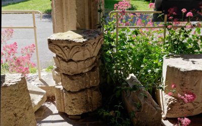 Newsletter – Janvier  2023